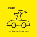 Teitur Let The Dog Drive Home