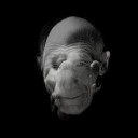 Jr. Juggernaut | Wake | LP